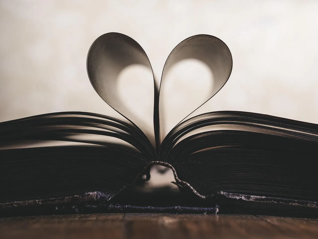 valentines day background, paper, heart, symbol, romance, valentine, love, open, page, book, inspiration, study, read, education, concept. Meeting documents mistakes: auditing records a year on