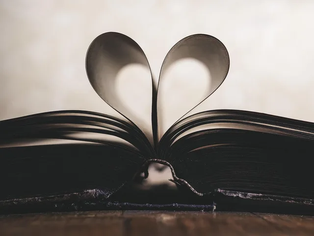 valentines day background, paper, heart, symbol, romance, valentine, love, open, page, book, inspiration, study, read, education, concept. Meeting documents mistakes: auditing records a year on