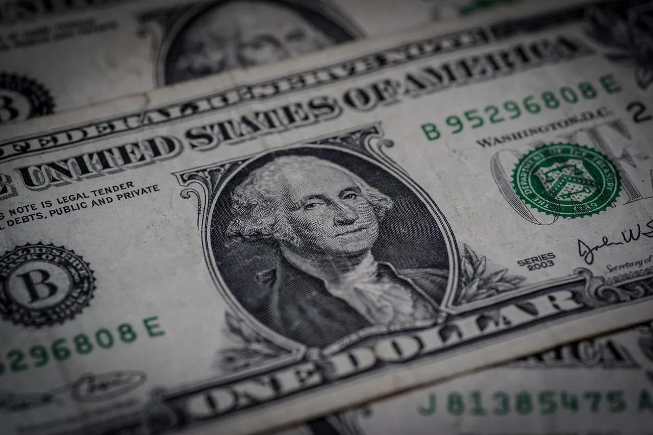dollar, money, currency, banknote, paper money, finance, payment, one dollar, business, cashbox, financial, one dollar, one dollar, one dollar, one dollar, one dollar. Getting profit and loss forms format right the first time
